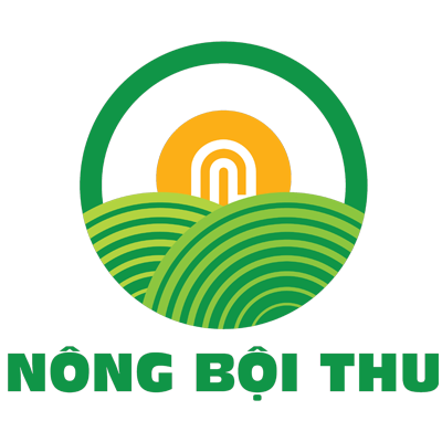 Hoàng Trung Nhân – Dịch vụ marketing online chuyên nghiệp